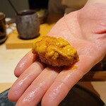 鮨 唐島 - 天草のウニ