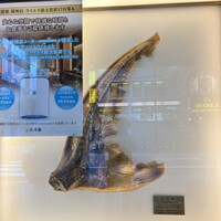 筑紫樓 銀座店 - 