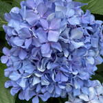 石焼料理 木春堂 - 