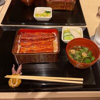 うなぎ 目白ぞろ芽 - 