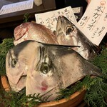 魚めし 竹亭 - 