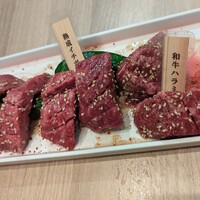 炭火焼肉 肉の匠 ひうち - 