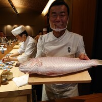 弧柳 - 