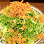 Marugame Seimen - 