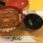 Gansounayoshi - 鰻丼