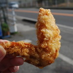 Fujiya Karaage Ten - 手羽先