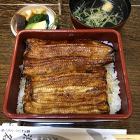 うなぎ 目白ぞろ芽 - 