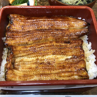 うなぎ 目白ぞろ芽 - 