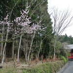 繭玉 - ほら！右奥にお店がっ！