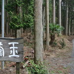 繭玉 - 森の中の最後の看板