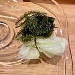 鮨処 池上 - 三陸わかめ キャベツ 海ぶどう