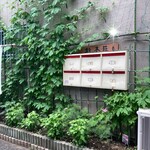 永楽 - ナツカチーい、