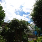 お料理ひろせ - 渋谷区立本町公園のお隣です。