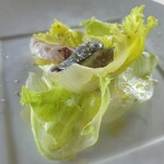 アル・ケッチァーノ  - ◆庄内浜のお魚の前菜