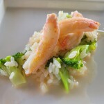 アル・ケッチァーノ  - ◆本日のはえぬき米のリゾット