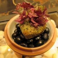 六花 - 紫蘇スプラウト紫蘇スプラウト