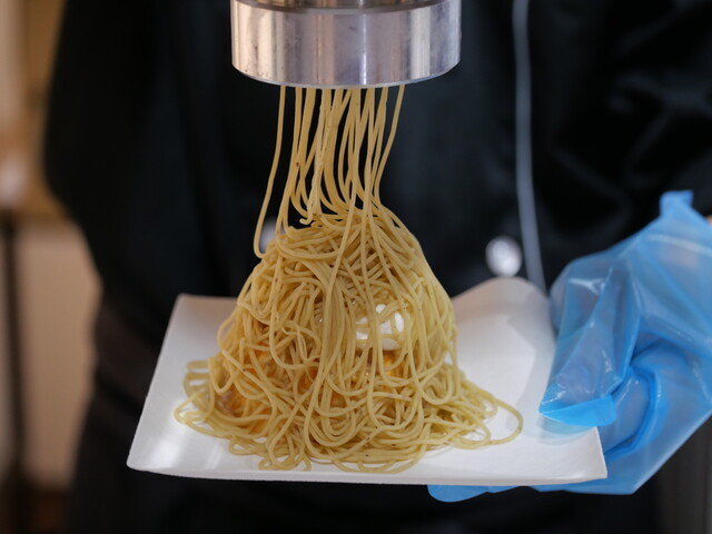 atelier marron Regal Ritz