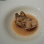 ルナ パルパドス - あさりと白花豆
      
      
      
      