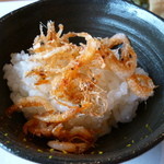 料理屋くおん - ☆桜海老の食感が春を届けますね☆