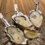 Compare three types Oyster