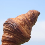 エグ・ヴィヴ - 