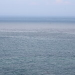 エグ・ヴィヴ - 海