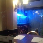 厳選地酒と本格焼酎の店 うみんちゅ - Ｈ25.03　お洒落な水槽