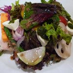 リストランテ ヴォナ フォルトゥーナ - ＜2009年7月＞前菜：イタリア産水牛のモッツァレラチーズのカプレーゼと自家栽培無農薬野菜たっぷりの大地の恵みのサラダ バーニャカウダソース