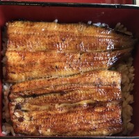鰻割烹 伊豆栄 本店 - 鰻重