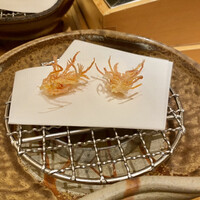 天ぷら 銀座おのでら 並木通り店 - 