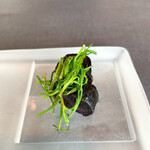 プレゼンテ スギ - 