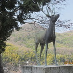 ベニット - 狛犬さんではなく、鹿さんが！