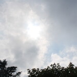 エグ・ヴィヴ - 空