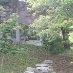 エグ・ヴィヴ - お店