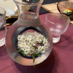 花仙庵 仙仁温泉 岩の湯 - 