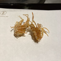 天七 - 