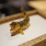 日本橋 蕎ノ字 - 