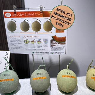 道の駅 夕張メロード_2