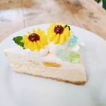 サンデーブランチ - ひまわりチーズケーキ!!