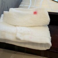 クイントカント - （2022.6）