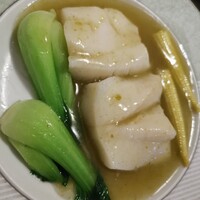 潮夢来 - 