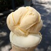 ROYAL COPENHAGEN ICE CREAM - 料理写真:Sunshine Mango & Natural Vanilla