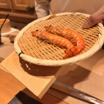 恵比寿 鮨 ふじまさ - 