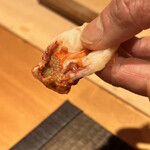 恵比寿 鮨 ふじまさ - 