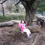 山小屋　佐藤 - 手づくりブランコ