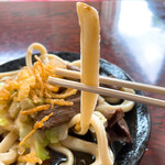 手打ちうどん ムサシ - 【2022年06月】冷やしうどん（ゆず）＠550円、肉(馬肉)トッピング＠100円、合計＠650円、短い麺線は立てるとピンと経ちます。