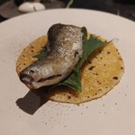 フロリレージュ - (2022/7 訪問)鮎。