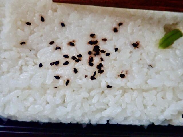 Chubo Kiraku photo 5