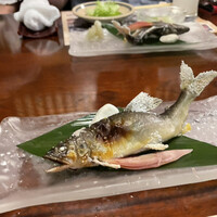 土佐料理 祢保希 銀座店 - 