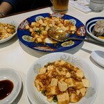 龍 - マーボー豆腐